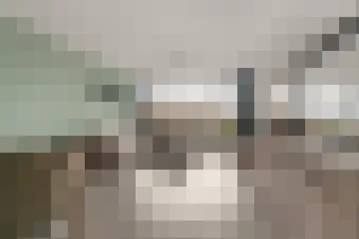 Laan van Vollenhove 2473 Zeist thumbnail 10