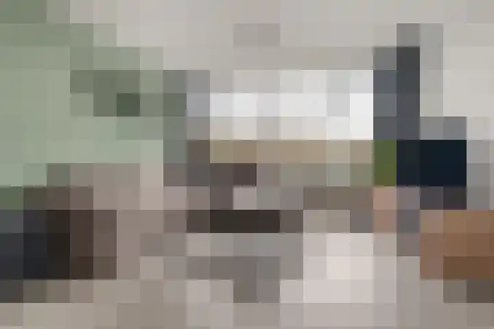 Laan van Vollenhove 2473 Zeist thumbnail 12