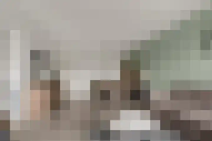 Laan van Vollenhove 2473 Zeist thumbnail 13