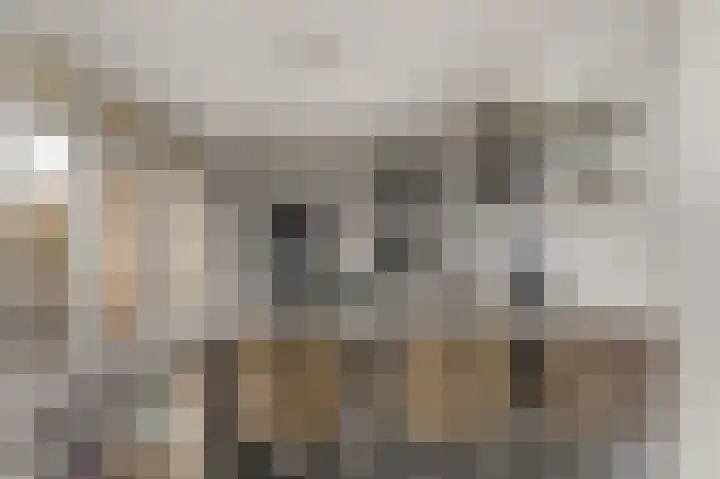 Laan van Vollenhove 2473 Zeist thumbnail 14