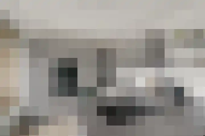 Laan van Vollenhove 2473 Zeist thumbnail 15