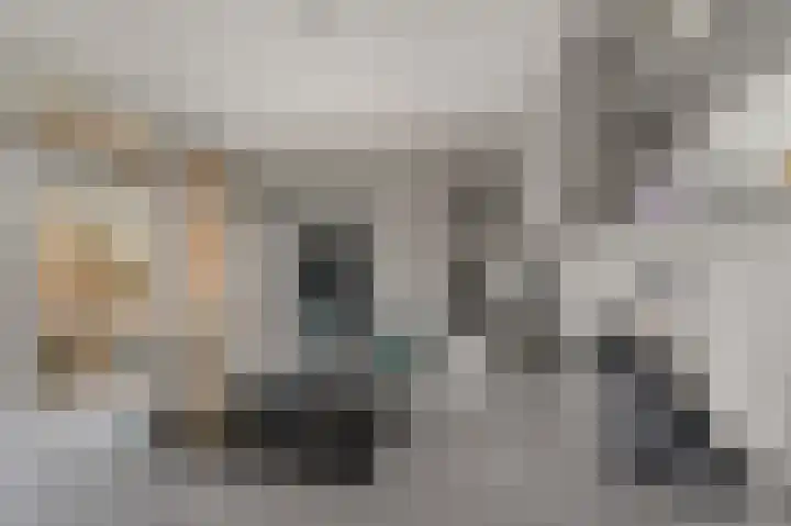 Laan van Vollenhove 2473 Zeist thumbnail 16