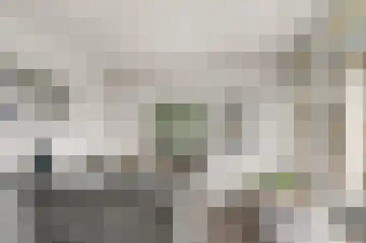 Laan van Vollenhove 2473 Zeist thumbnail 17