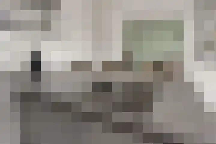 Laan van Vollenhove 2473 Zeist thumbnail 18