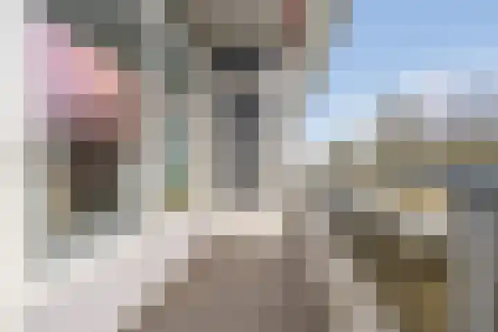 Laan van Vollenhove 2473 Zeist thumbnail 19