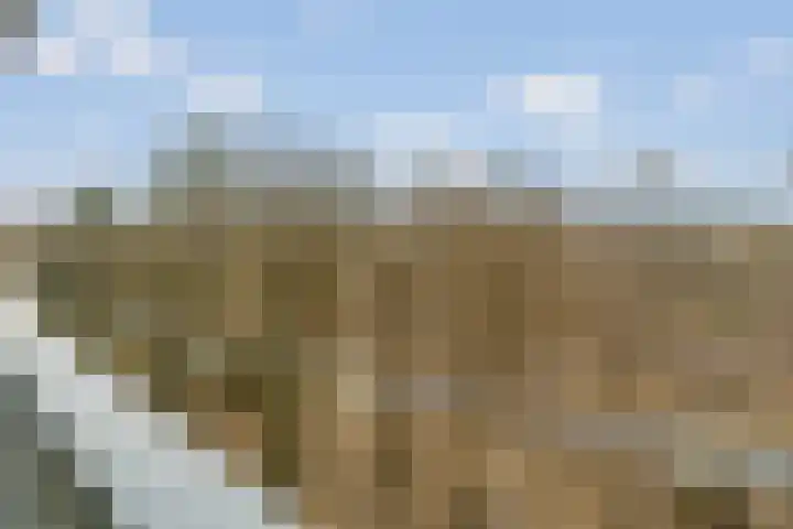 Laan van Vollenhove 2473 Zeist thumbnail 20