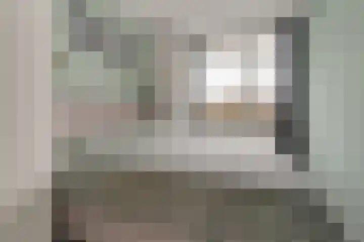Laan van Vollenhove 2473 Zeist thumbnail 23