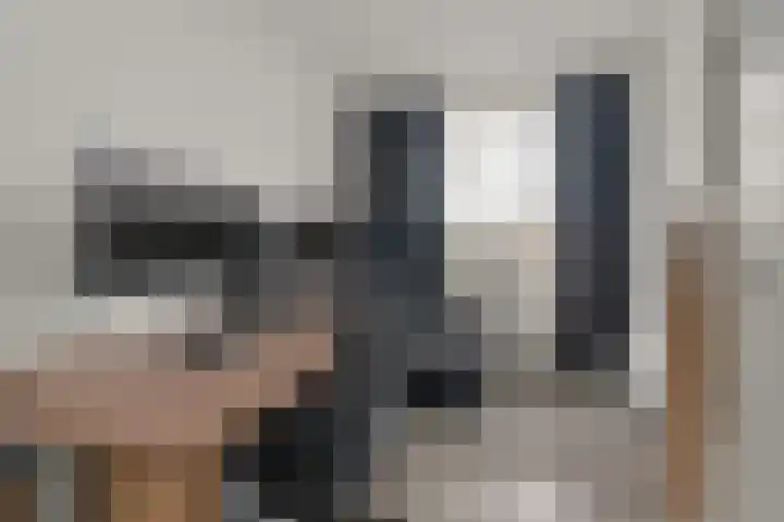 Laan van Vollenhove 2473 Zeist thumbnail 25
