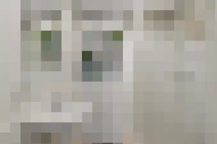 Laan van Vollenhove 2473 Zeist thumbnail 27