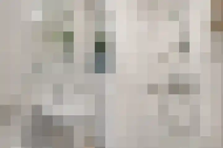 Laan van Vollenhove 2473 Zeist thumbnail 28