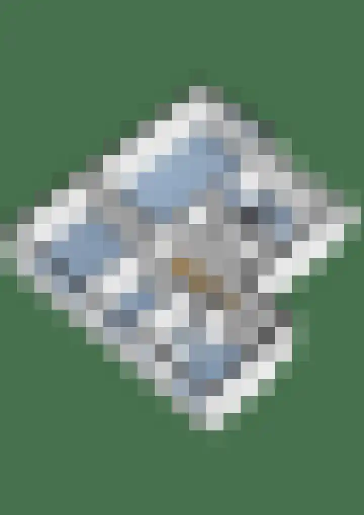 Laan van Vollenhove 2473 Zeist thumbnail 32
