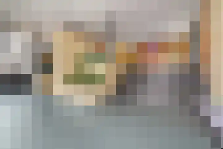 Laan van Vollenhove 2473 Zeist thumbnail 6