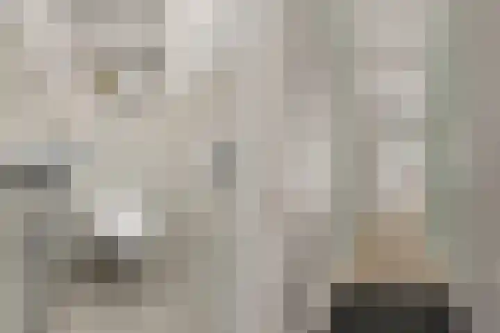 Laan van Vollenhove 2473 Zeist thumbnail 7