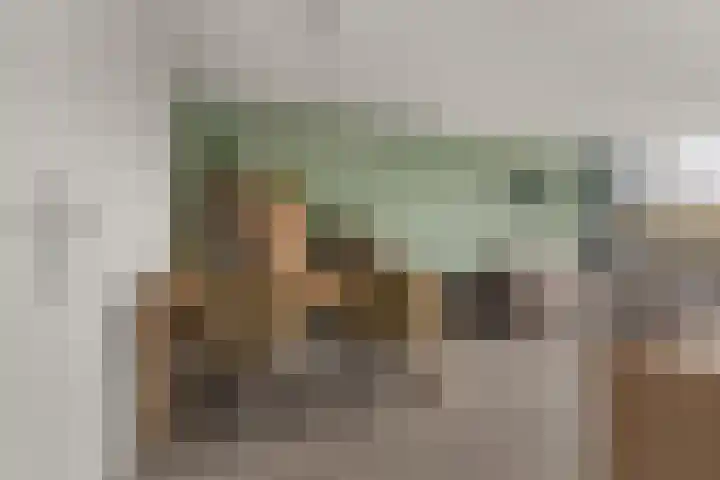 Laan van Vollenhove 2473 Zeist thumbnail 8