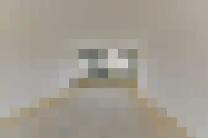 Laan van Vollenhove 256 Zeist thumbnail 10