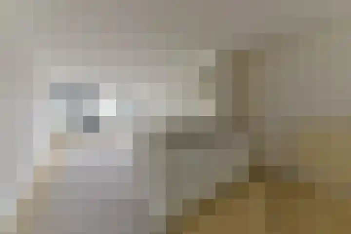 Laan van Vollenhove 256 Zeist thumbnail 15