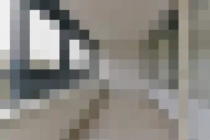Laan van Vollenhove 256 Zeist thumbnail 20