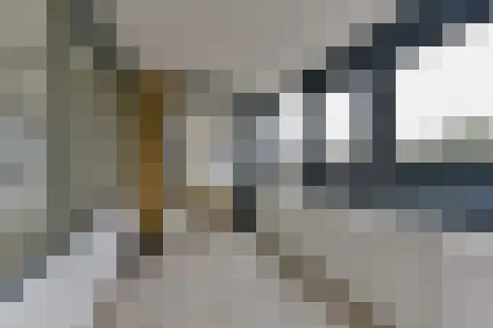 Laan van Vollenhove 256 Zeist thumbnail 21
