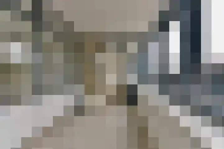 Laan van Vollenhove 256 Zeist thumbnail 22