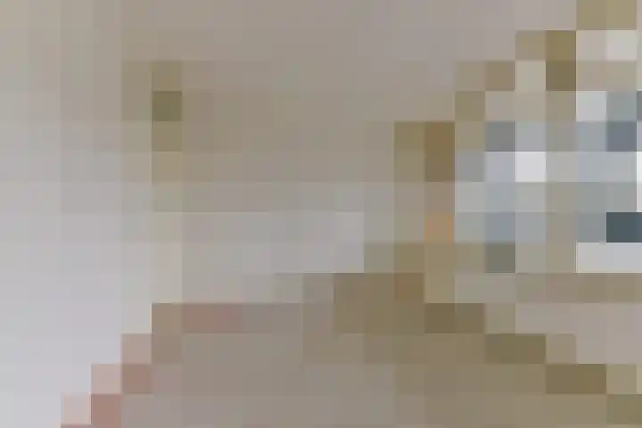 Laan van Vollenhove 256 Zeist thumbnail 28