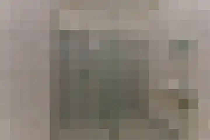 Laan van Vollenhove 256 Zeist thumbnail 30