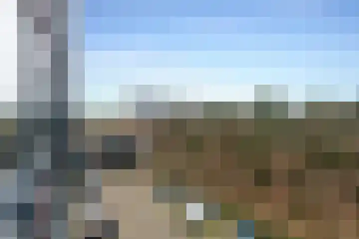 Laan van Vollenhove 256 Zeist thumbnail 35