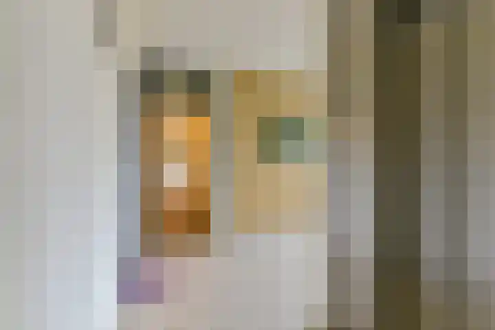 Laan van Vollenhove 2567 Zeist thumbnail 10