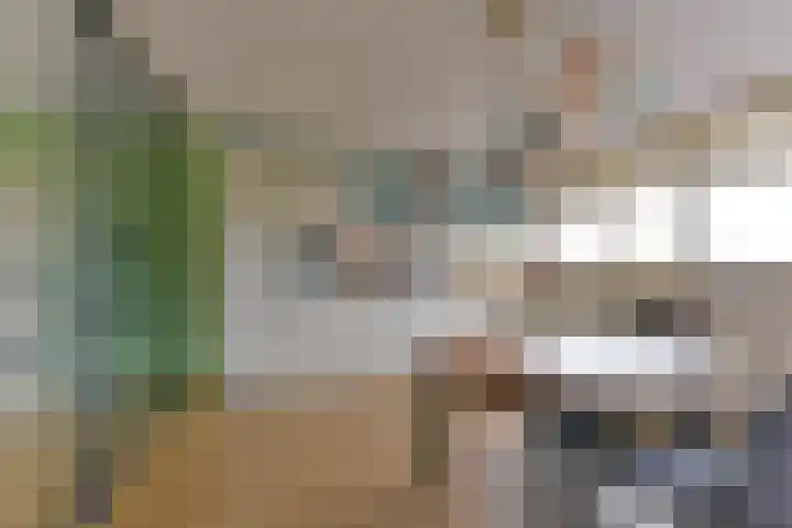 Laan van Vollenhove 2567 Zeist thumbnail 11