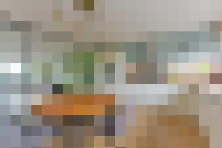 Laan van Vollenhove 2567 Zeist thumbnail 16