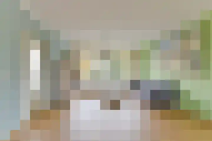 Laan van Vollenhove 2567 Zeist thumbnail 19