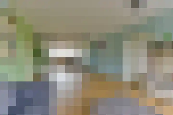 Laan van Vollenhove 2567 Zeist thumbnail 21
