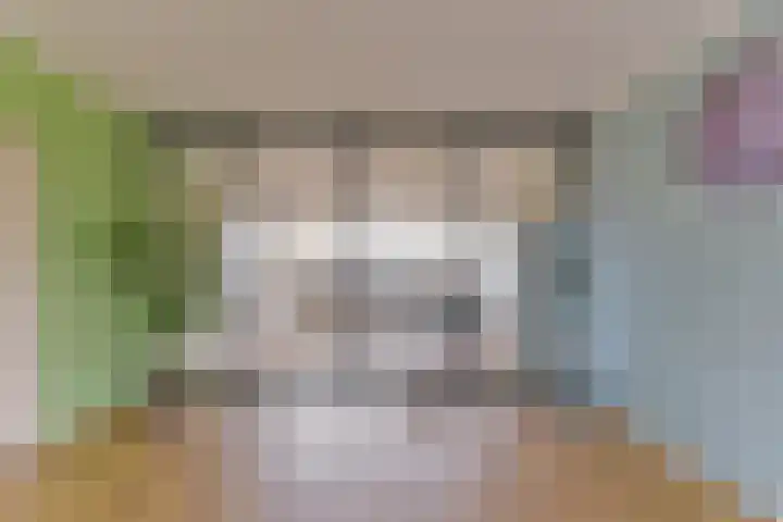 Laan van Vollenhove 2567 Zeist thumbnail 22