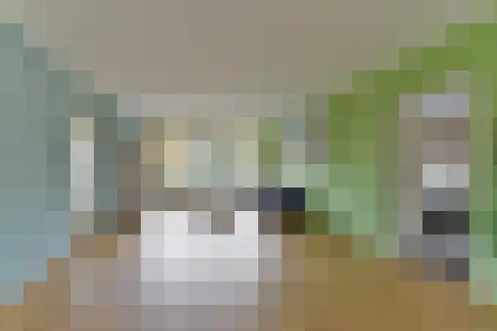 Laan van Vollenhove 2567 Zeist thumbnail 23