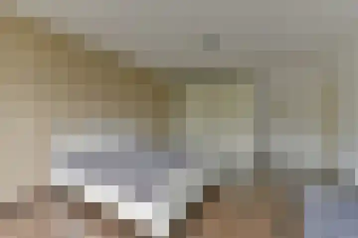 Laan van Vollenhove 2567 Zeist thumbnail 25