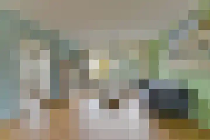 Laan van Vollenhove 2567 Zeist thumbnail 26