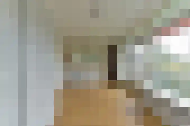Laan van Vollenhove 2567 Zeist thumbnail 27