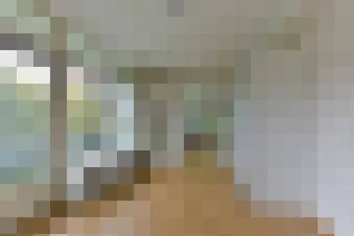Laan van Vollenhove 2567 Zeist thumbnail 28