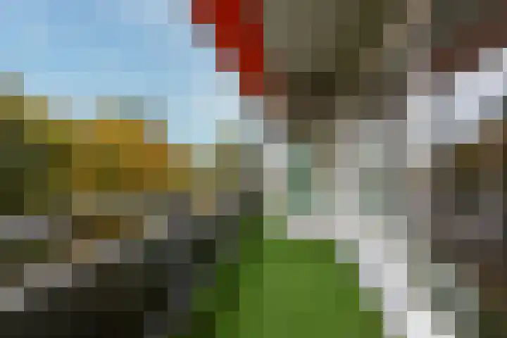 Laan van Vollenhove 2567 Zeist thumbnail 29