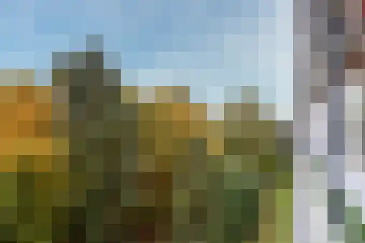 Laan van Vollenhove 2567 Zeist thumbnail 30