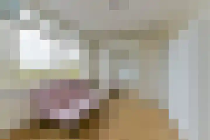 Laan van Vollenhove 2567 Zeist thumbnail 33
