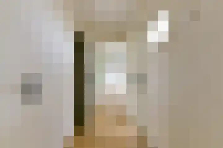 Laan van Vollenhove 2567 Zeist thumbnail 35