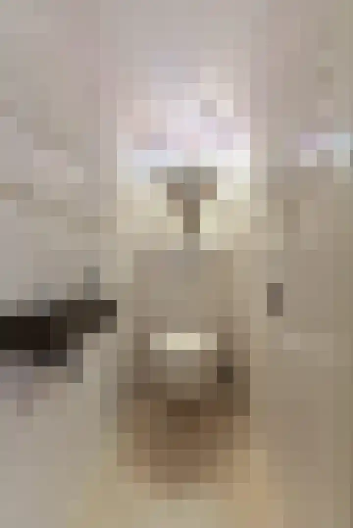 Laan van Vollenhove 2567 Zeist thumbnail 38