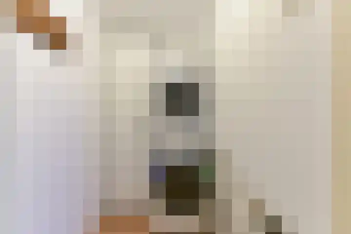 Laan van Vollenhove 2567 Zeist thumbnail 39