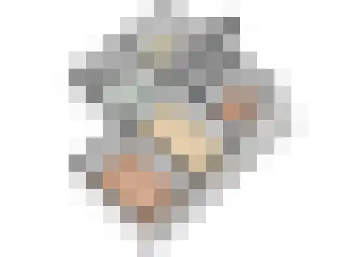 Laan van Vollenhove 2567 Zeist thumbnail 42