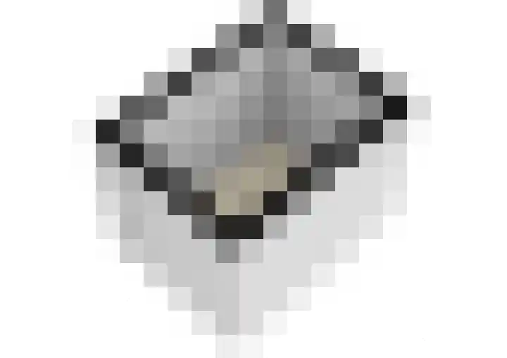 Laan van Vollenhove 2567 Zeist thumbnail 44