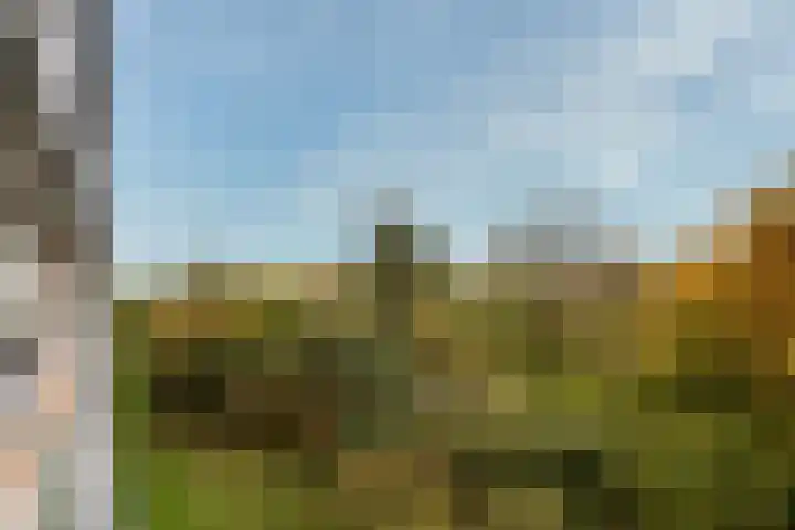 Laan van Vollenhove 2567 Zeist thumbnail 6