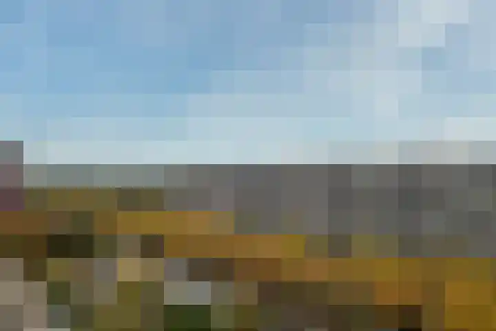Laan van Vollenhove 2567 Zeist thumbnail 7