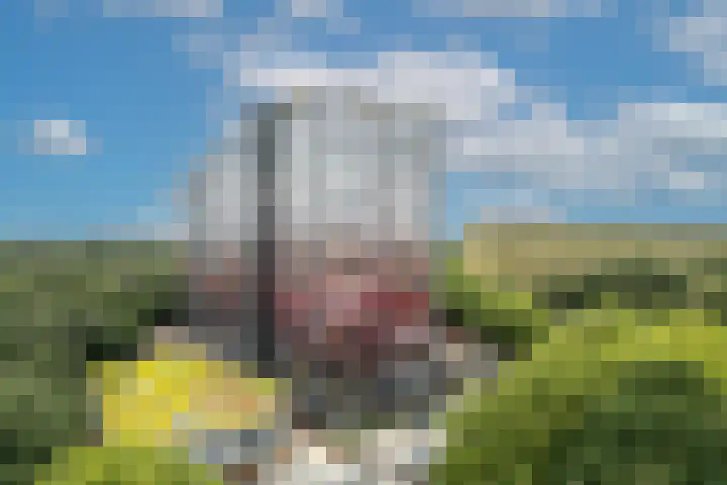 Laan van Vollenhove 26 Zeist thumbnail 36