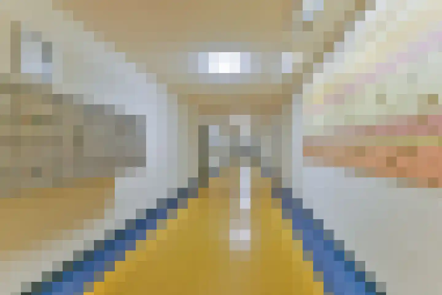 Laan van Vollenhove 26 Zeist thumbnail 8