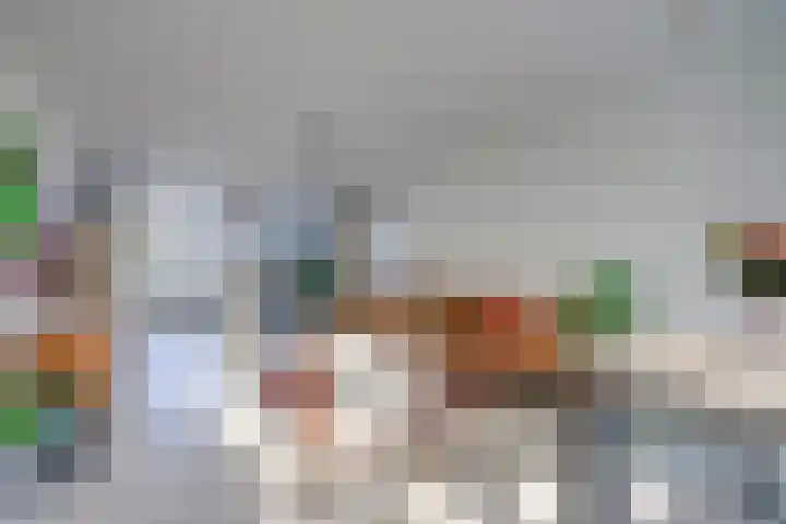 Laan van Vollenhove 2617 Zeist